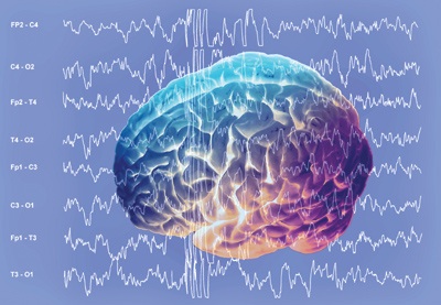 Synaptic mechanisms of brain waves