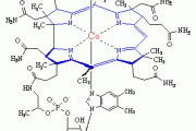 Vitamin B12 - Vital for Brain Health