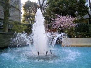 Fountain with cherry blossoms